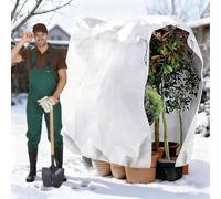 INSANYJ Voile Hivernage Plante Exterieur, 200x240cm 70g/m² Bache de Protection Exterieur, Indéchirable, Réutilisable Housse de Protection pour Plantes Voile d’Hivernage Housse d'hivernage Plante