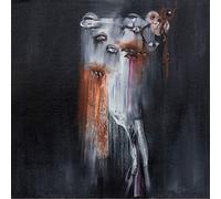 Insect Ark - The Vanishing