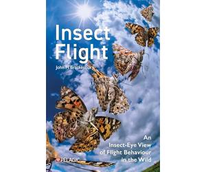 Insect Flight: An Insect-eye View of Flight Behaviour in the Wild