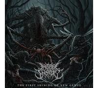 Insect Inside - The First Shining Of New Genus