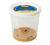 Insect Lore - 1, 102