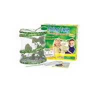 Insect Lore - 6901060 - Jeu Éducatif - La Serre à Phasme