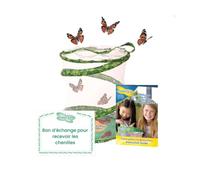 Insect Lore - Elevage de Papillons - Modele pavillon
