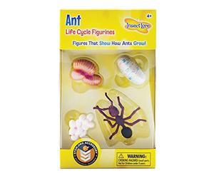 Insect Lore- Figurines de Jouets, 06110, Multicolore, Petit