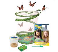 Insect Lore Jardin de Papillons avec 3 à 5 chenilles vivantes