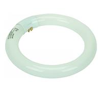 Insect-o-cuter Tgx22 Circline lampe UV, 22 W, Vert