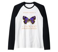 Insecte du Territoire du Colorado : le papillon Hairstreak Manche Raglan
