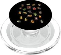 Insecte Entomologie Entomologiste Insecte Collectionneur PopSockets PopGrip pour MagSafe