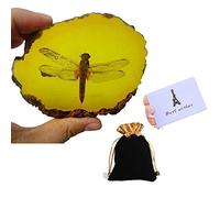 Insecte fossile d'ambre avec sac cadeau et carte cadeau, spécimen de qualité musée, insecte naturel d'ambre artificiel (libellule)