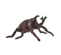 Insecte - Scarabee Nasicorne