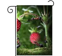 Insectes D'Été, Fourmis Cueillant Des Fraises Des Bois, Paysage Agricole Bannière Couleurs Vives Drapeaux Solide Drapeau De Jardin Pour Jardin Porche Fête 30X45Cm