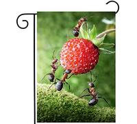 Insectes D'Été, Fourmis Cueillant Des Fraises Des Bois, Paysage Agricole Drapeau Décoratif Drapeau De Jardin Résistant Aux Intempéries Garden Flag Pour Extérieur Porche Vacances 30X45Cm