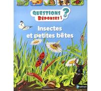Insectes Et Petites Bêtes