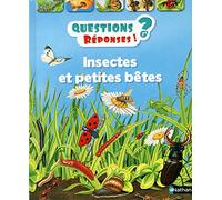 Insectes et petites bêtes – Questions/Réponses – doc dès 7 ans – Nathan