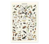 Insectes I, 1923 Poster de Adolphe Millot 60 x 90 cm Déco colorée Tableaux Décoration murale