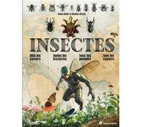 Insectes