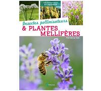 Insectes pollinisateurs et plantes mellifères