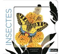 Insectes - Un livre animé avec des silhouettes dans des décors chatoyants - Dès 6 mois