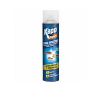 Insecticide aérosol multi-usages - tous insectes - 300 mL