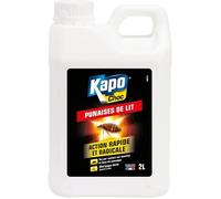 Insecticide Punaises de Lit Action Rapide et Radicale Tue par Contact Techniques Professionnelles Effet Longue Durée Jusqu'à 3 Mois