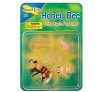 insectlore - figurines métamorphose abeille