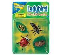 insectlore - figurines métamorphose coccinelles