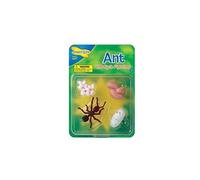 Insectlore - figurines métamorphose fourmis