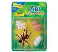 insectlore - figurines métamorphose fourmis