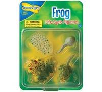 Insectlore - figurines métamorphose grenouille