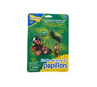 insectlore - figurines métamorphose papillon