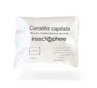 INSECTOSPHERE Capsule de phéromone Contre la Mouche méditerranéenne des Fruits Ceratitis capitata - 2 Mois de Diffusion - pour piège Mouche des Fruits