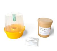 INSECTOSPHERE Kit Anti Mouche du brou de Noix Piège à phéromone Rhagoletis completa - Détection et Protection Naturelle des noyers (Piège + Attractif + Talc)