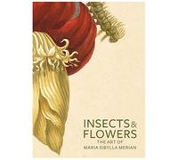 Insects And Flowers