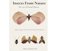 Insects From Nature: The Art of Found Objects