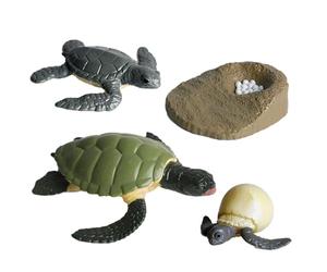 Insectss Life Cycle Figurines - Educational Biological Growth Stage, Realistic Hand Painted Learning Model | Odourlesss PP Plasticss Build, 4 To 5 Piece Development Sets - For Kids 3 Years And Others