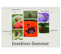Insekten-Sommer (Tischkalender 2026 DIN A5 quer), CALVENDO Monatskalender: Insekten sind ein wesentlicher Bestandteil unserer Umwelt und es ist ... und ausgewogenes Ökosystem zu erhalten.