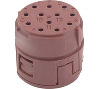 Insert 12 pôles EPIC® SIGNAL M23 P LAPP 73002712 5 pc(s)