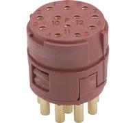 Insert 12 pôles EPIC® SIGNAL M23 P LAPP 73002717 20 pc(s)