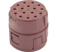 Insert 16 pôles EPIC® SIGNAL M23 E LAPP 73002706 5 pc(s)