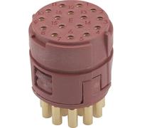 Insert 16 pôles EPIC® SIGNAL M23 E LAPP 73002710 5 pc(s)