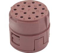 Insert 16 pôles EPIC® SIGNAL M23 P LAPP 73002700 5 pc(s)