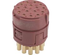 Insert 16 pôles EPIC® SIGNAL M23 P LAPP 73002705 20 pc(s)