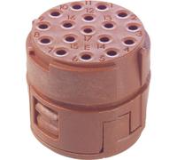 Insert 17 pôles EPIC® SIGNAL M23 E LAPP 73008500 5 pc(s)