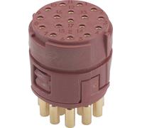 Insert 17 pôles EPIC® SIGNAL M23 E LAPP 73018500 5 pc(s)