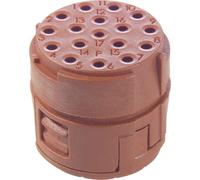 Insert 17 pôles EPIC® SIGNAL M23 P LAPP 73008000 5 pc(s)