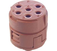 Insert 6 pôles EPIC® SIGNAL M23 LAPP 73002761 20 pc(s)