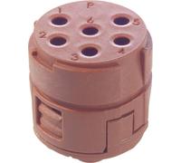 Insert 6 pôles EPIC® SIGNAL M23 LAPP 73002761 20 pc(s)