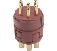 Insert 6 pôles EPIC® SIGNAL M23 LAPP 73002762 5 pc(s)