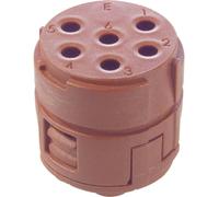 Insert 6 pôles EPIC® SIGNAL M23 LAPP 73002766 5 pc(s)