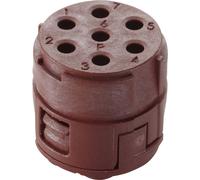 Insert 7 pôles EPIC® SIGNAL M23 P LAPP 44420148 5 pc(s)